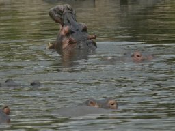 Western_Corridor_(Kirawira)2003-077